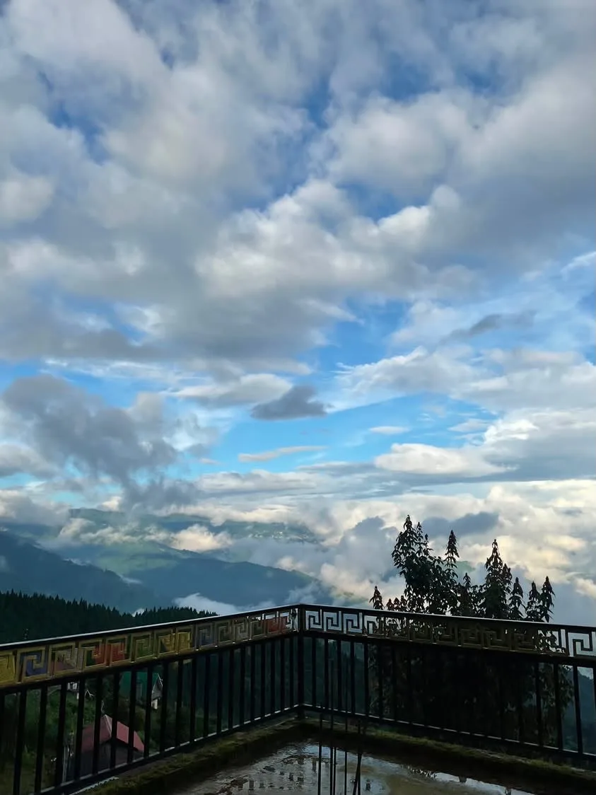 Balcony view overlooking a sea of clouds rolling over pine-covered valleys in Sukhia Pokhari Darjeeling at Zambala Dwelling Nest