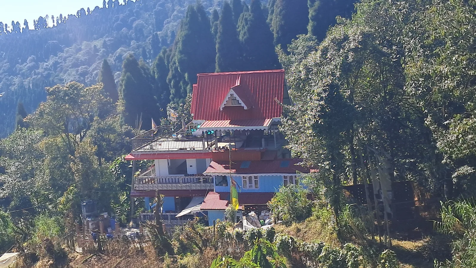 Multi-story red-roof homestay building nestled amidst lush green pine trees in Sukhia Pokhari Darjeeling